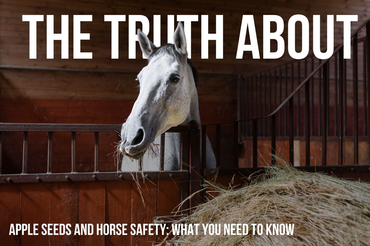 Are Apple Seeds Poisonous to Horses? A Comprehensive Guide
