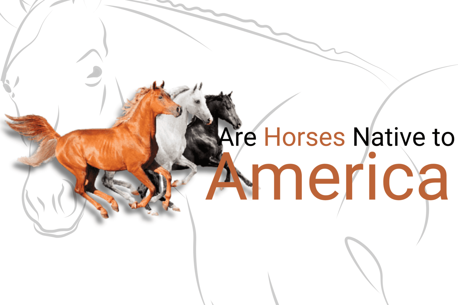 Unveiling-the-Origins-Are-Horses-Native-to-America
