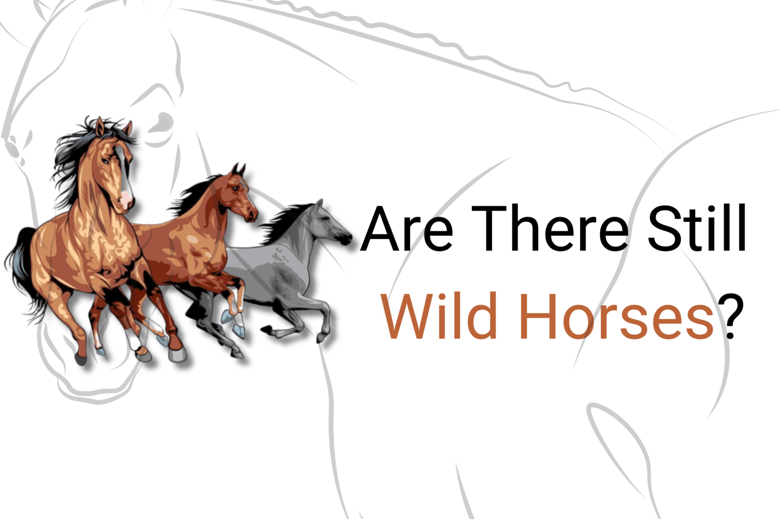Are There Still Wild Horses: A Look into America’s Untamed Heritage