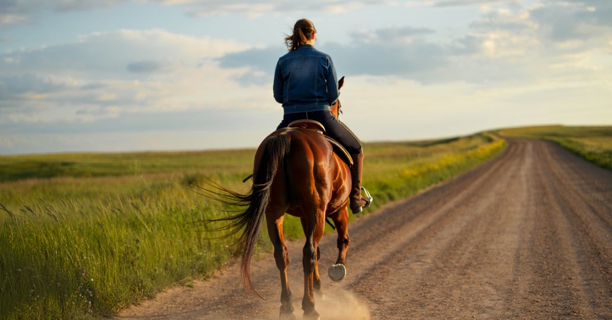 Can You Get a DWI on a Horse