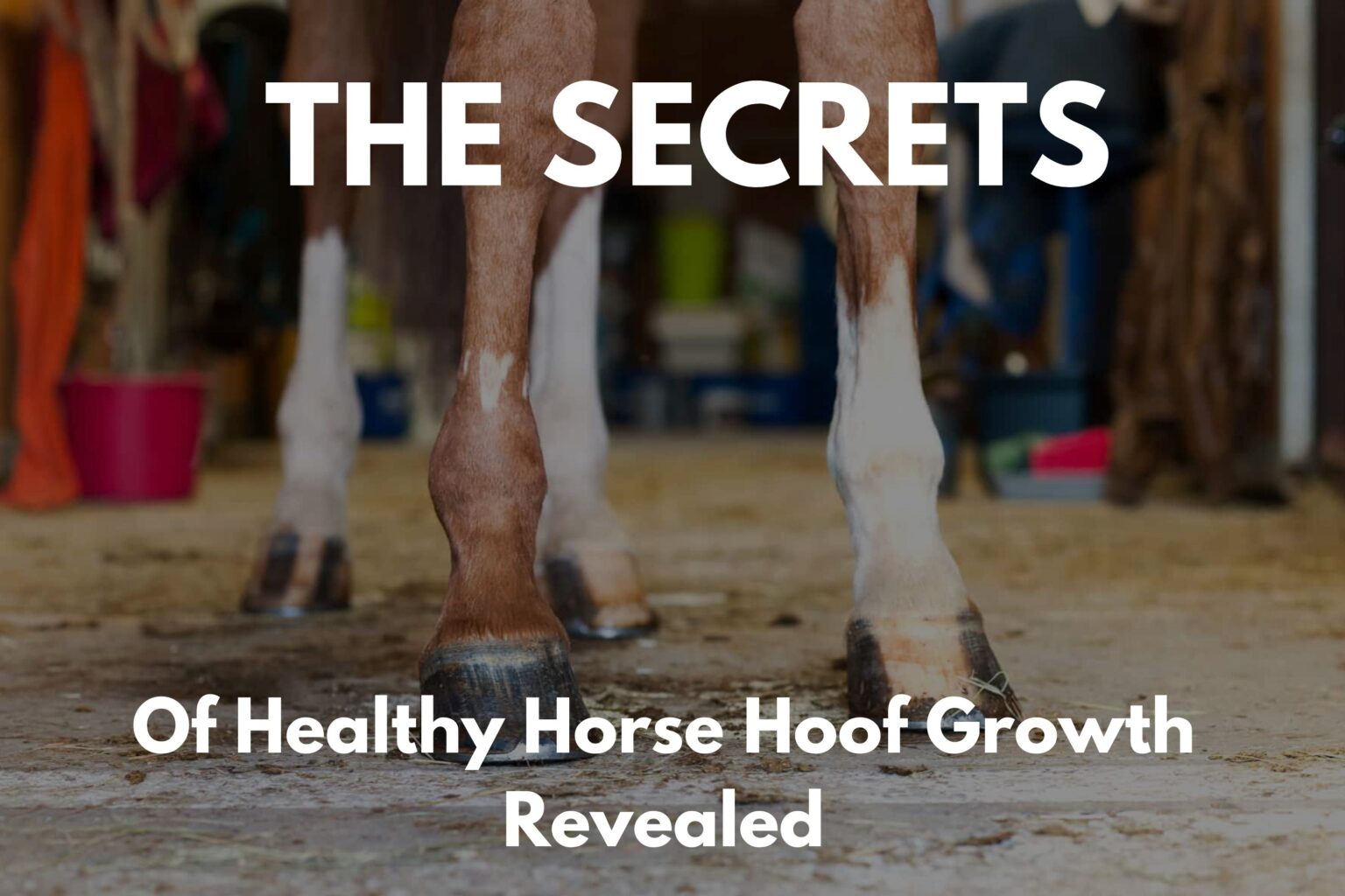 Do horses hooves grow?