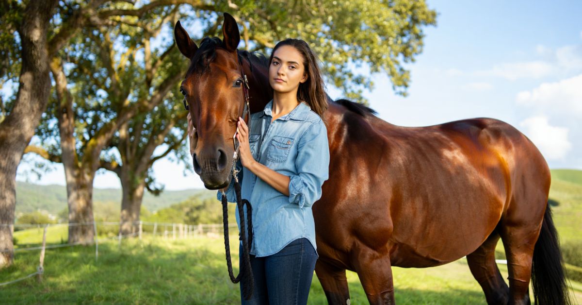 How to Get a Horse to Trust You