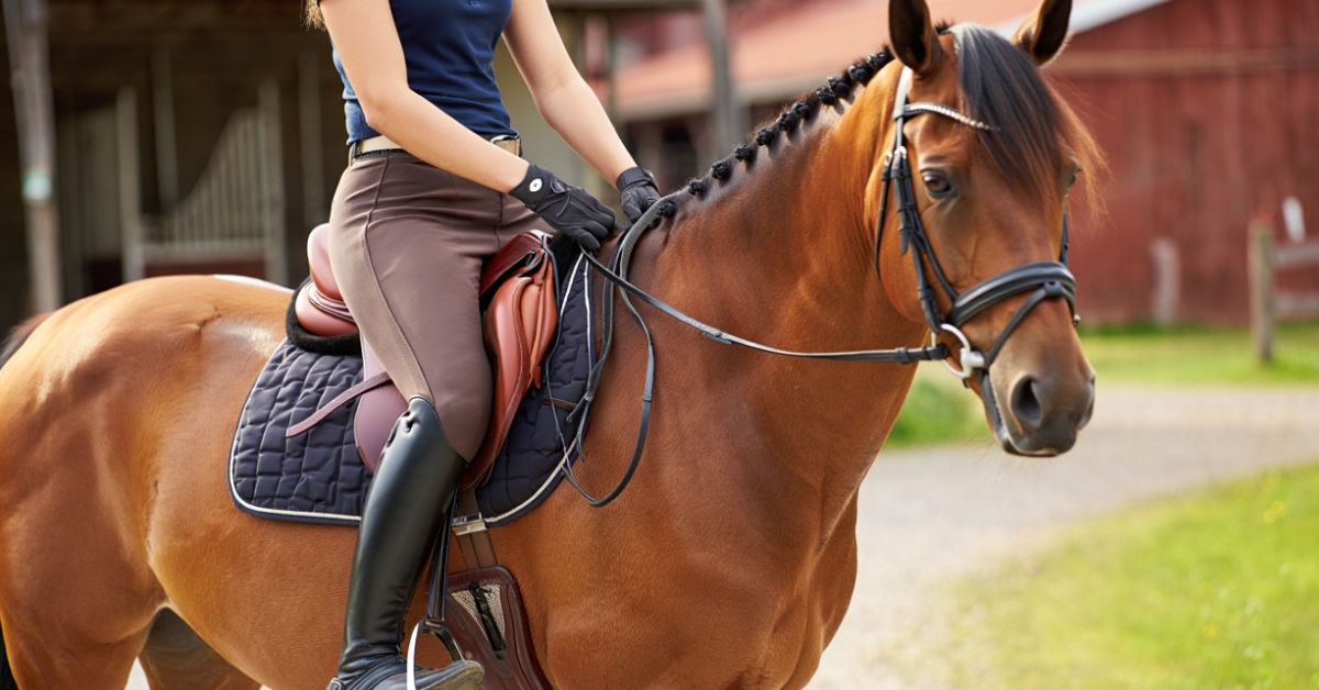 How to Get on a Horse