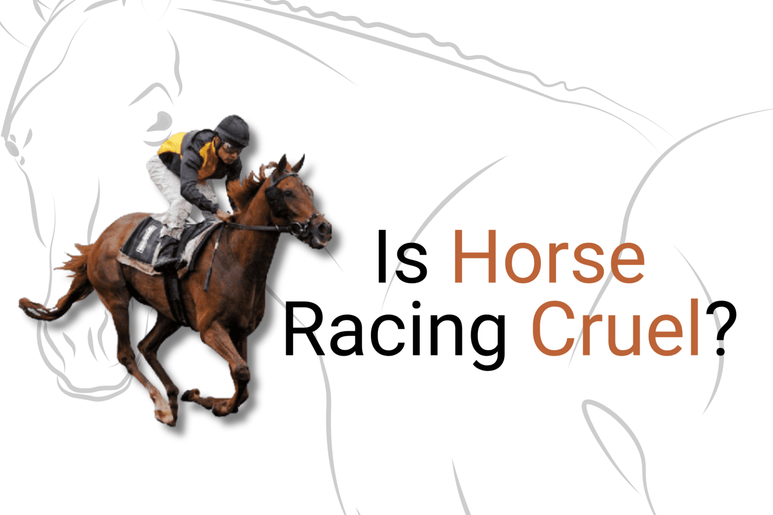 Debating the Ethics: Is Horse Racing Cruel?