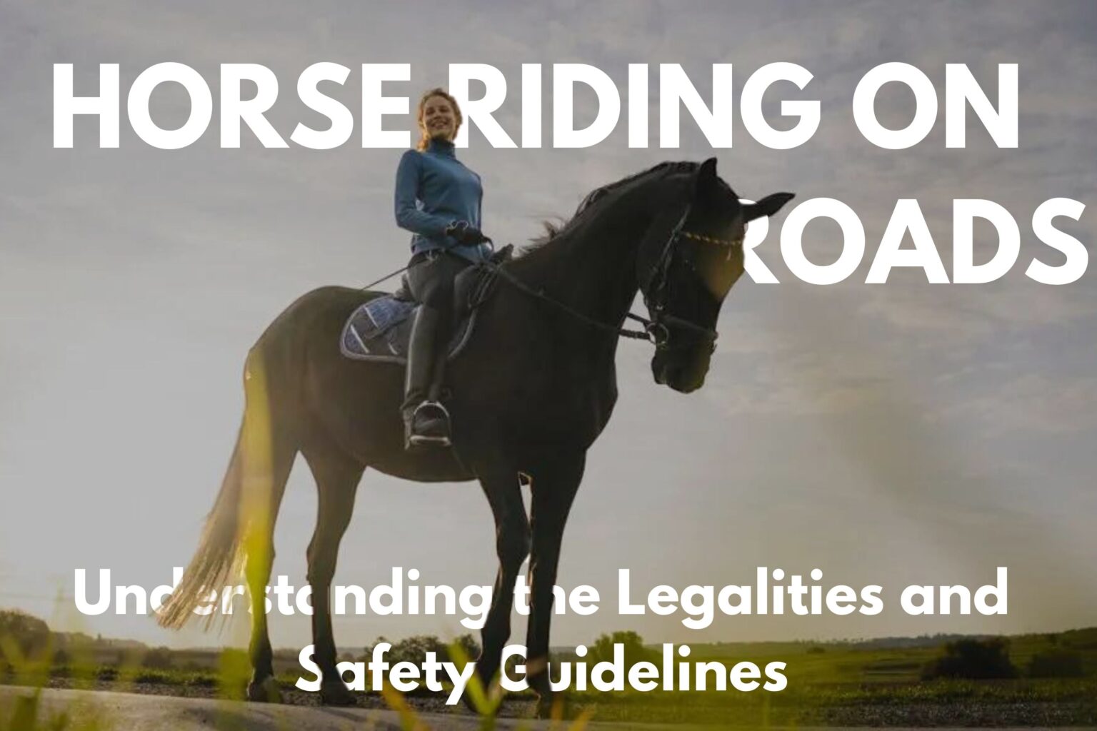 Is it legal to ride a horse on the road?