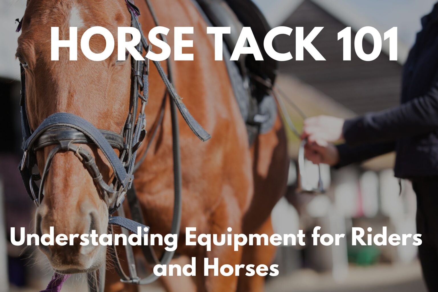 What is horse tack?