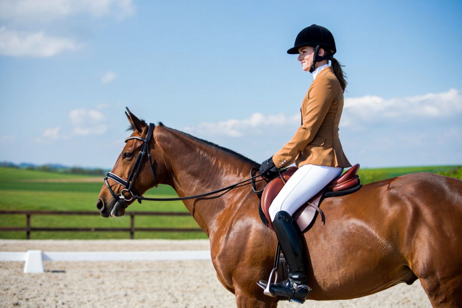 What to Wear Horse Riding: Essential Equestrian Attire for Every Rider