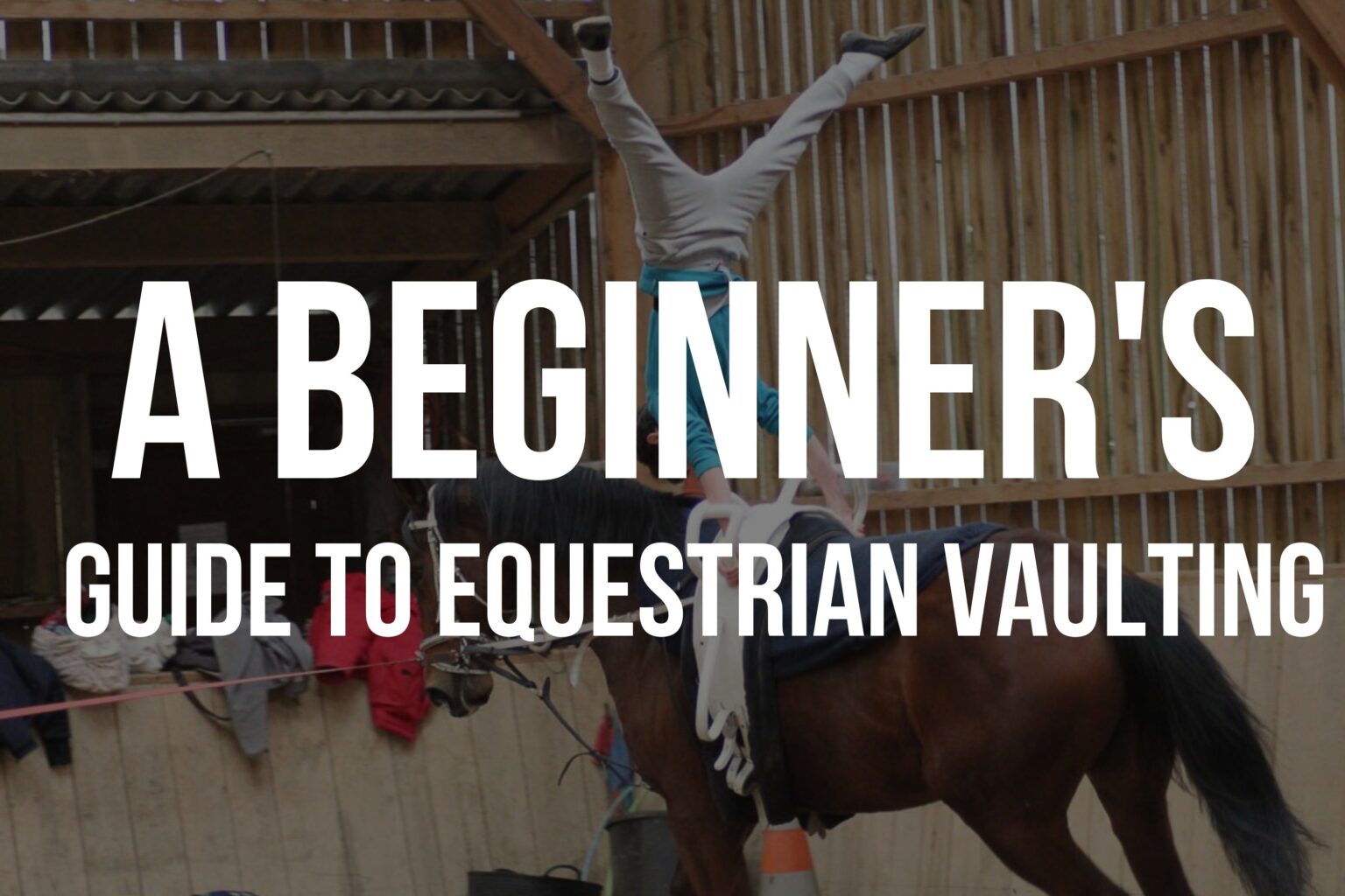 What is equestrian vaulting