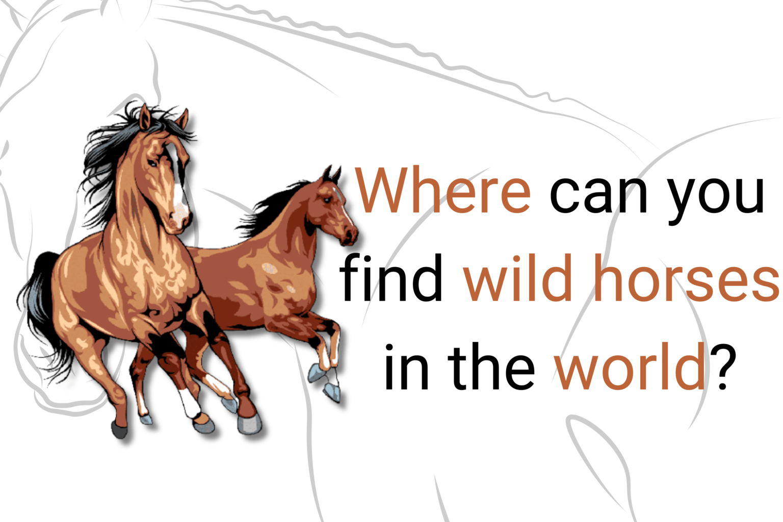 Where can you find wild horses in the world?