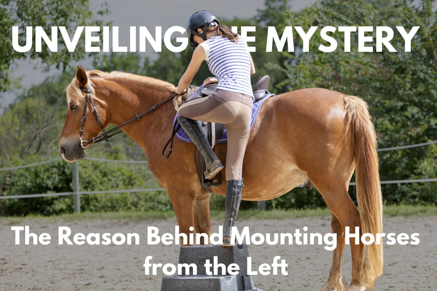 Why Do We Mount Horses from the Left Side?