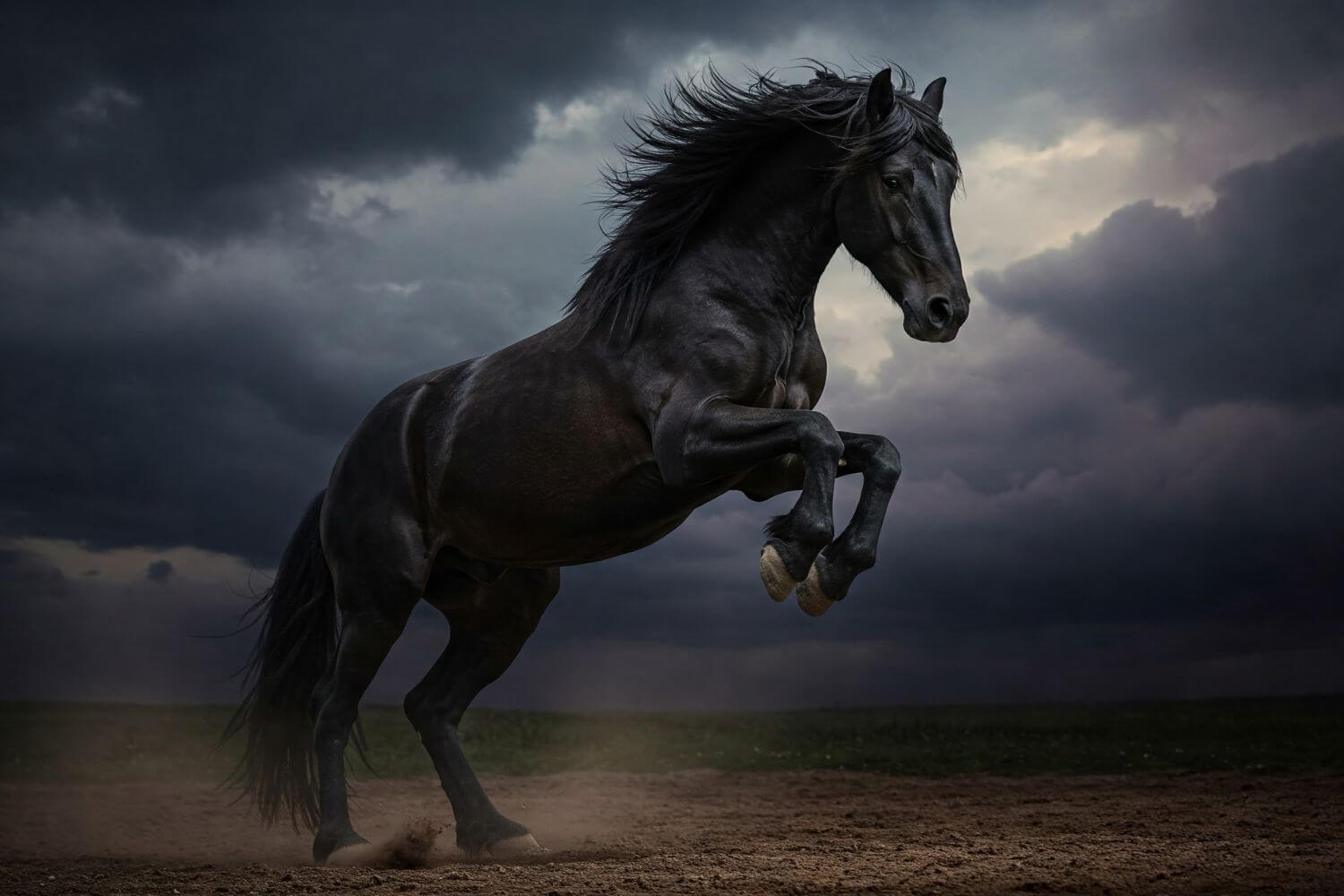 Horses: Majestic or Dangerous