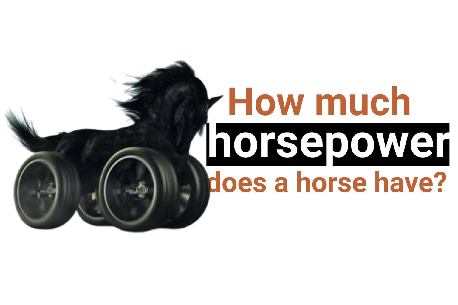 How much horsepower does a horse have?