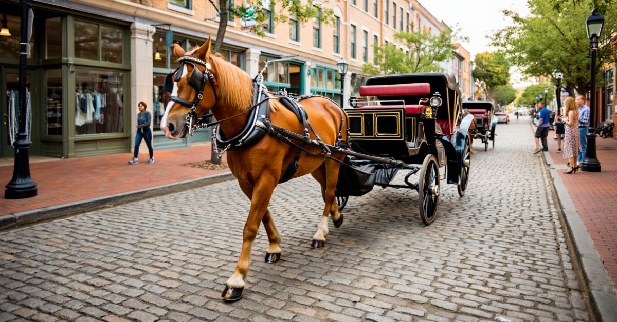 how much is a horse and carriage ride downtown