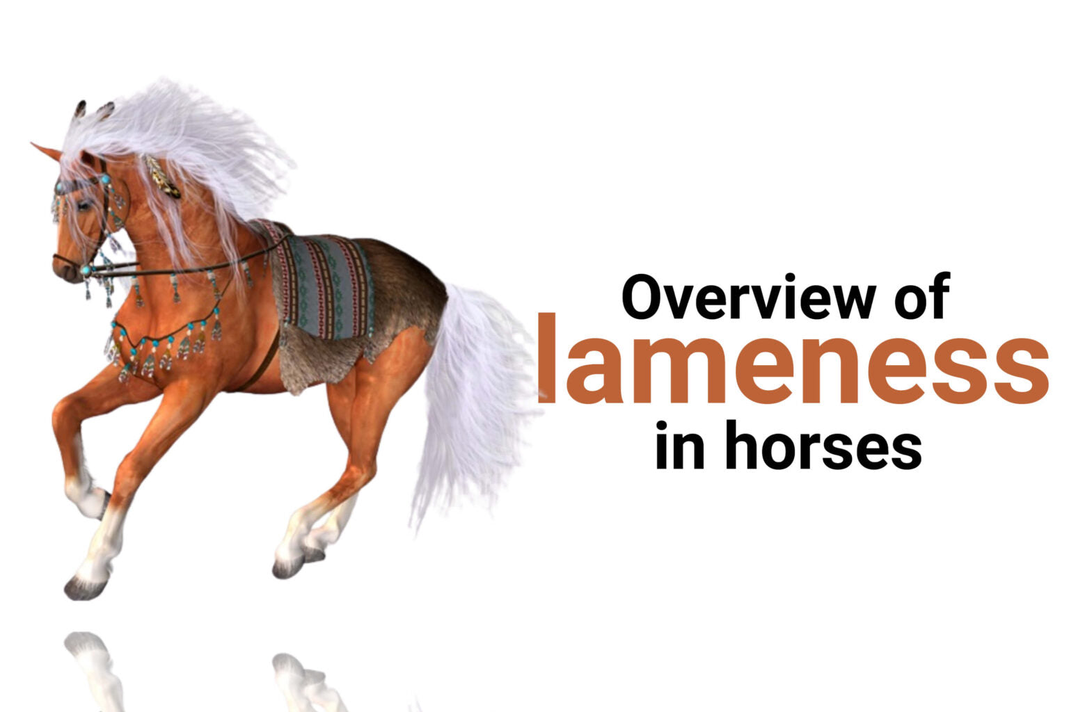 What does it mean when a horse is lame?