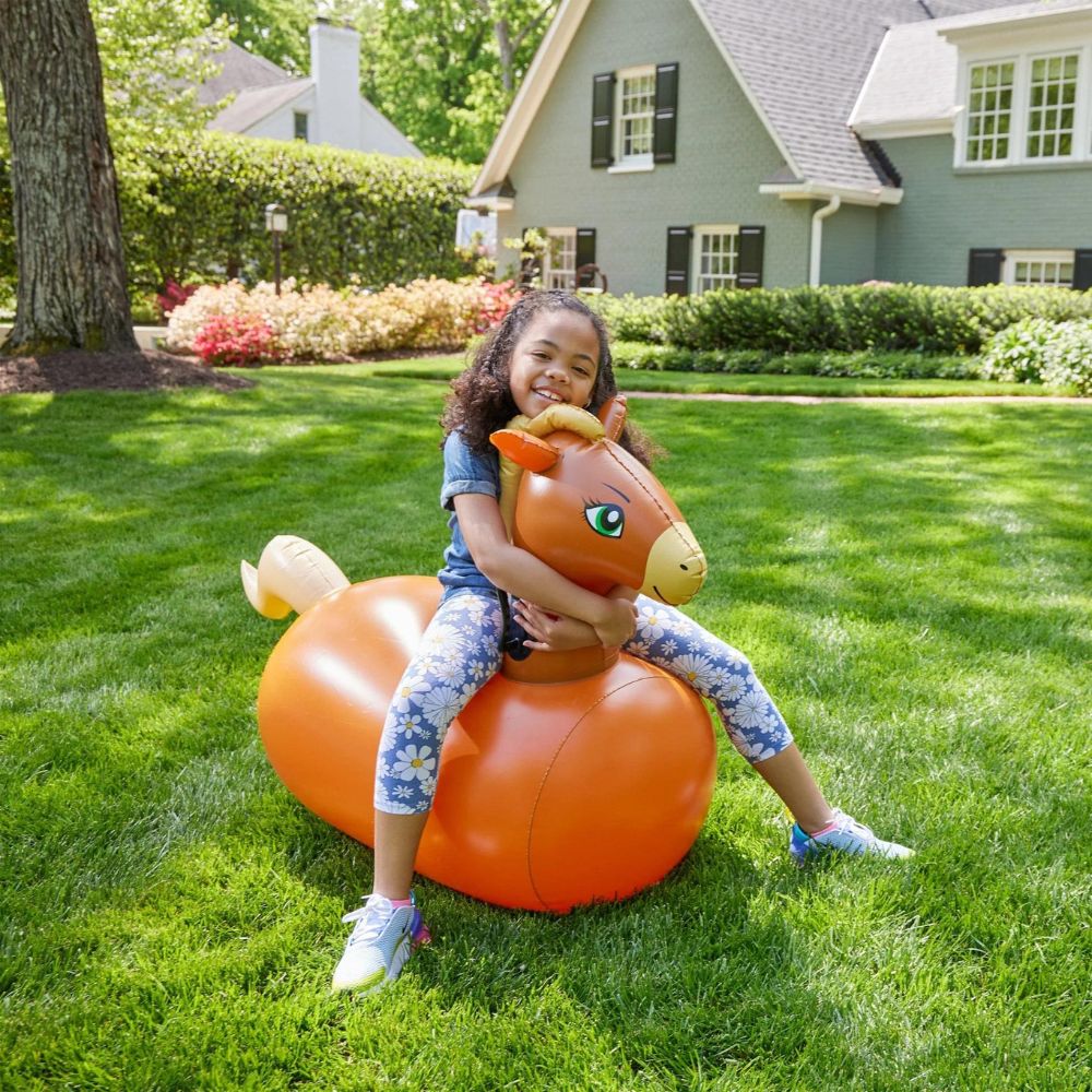 Bouncy Horse