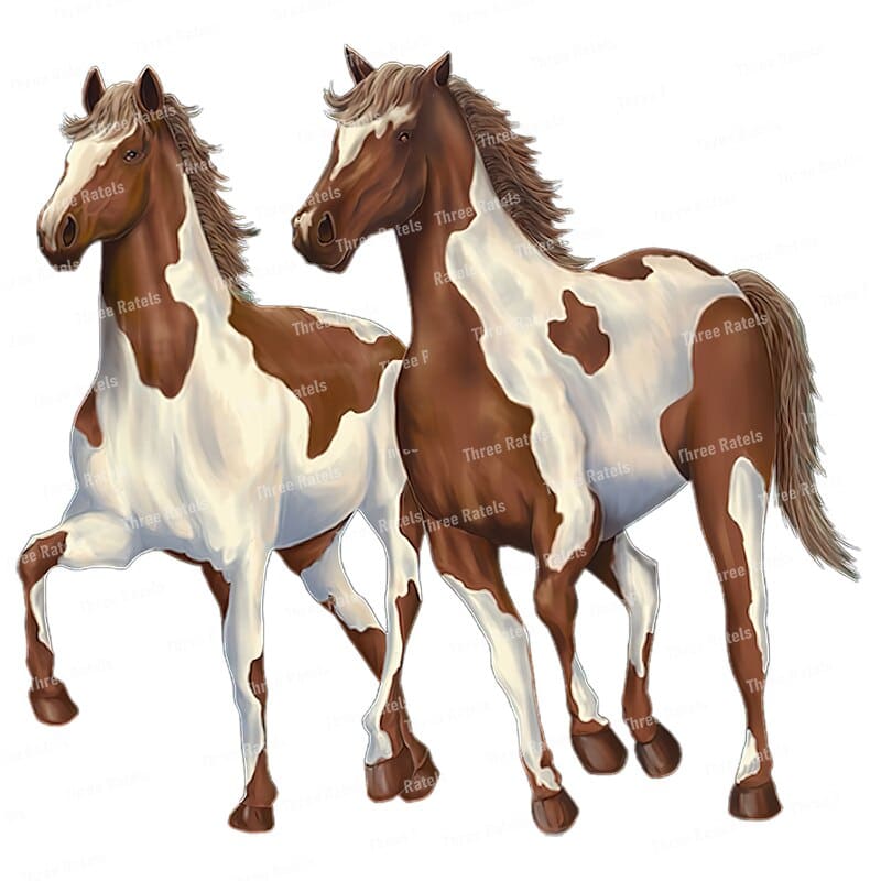 Horse stickers for bedroom walls - Dream Horse