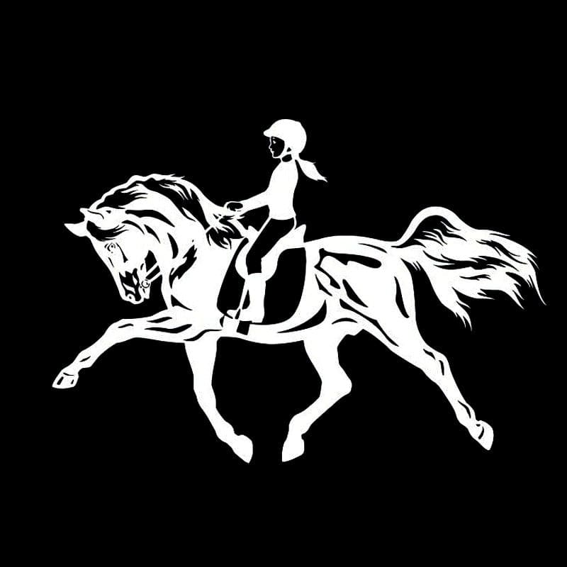 Horse trailer stickers decals - Dream Horse
