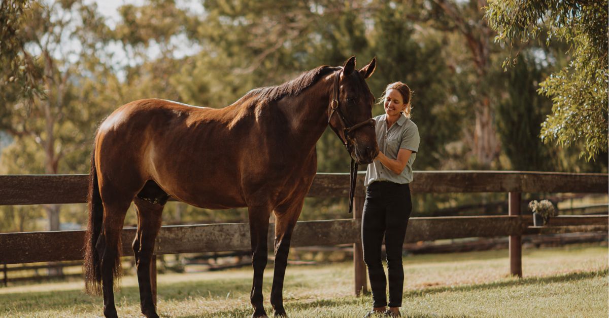 Are Horses Good Pets