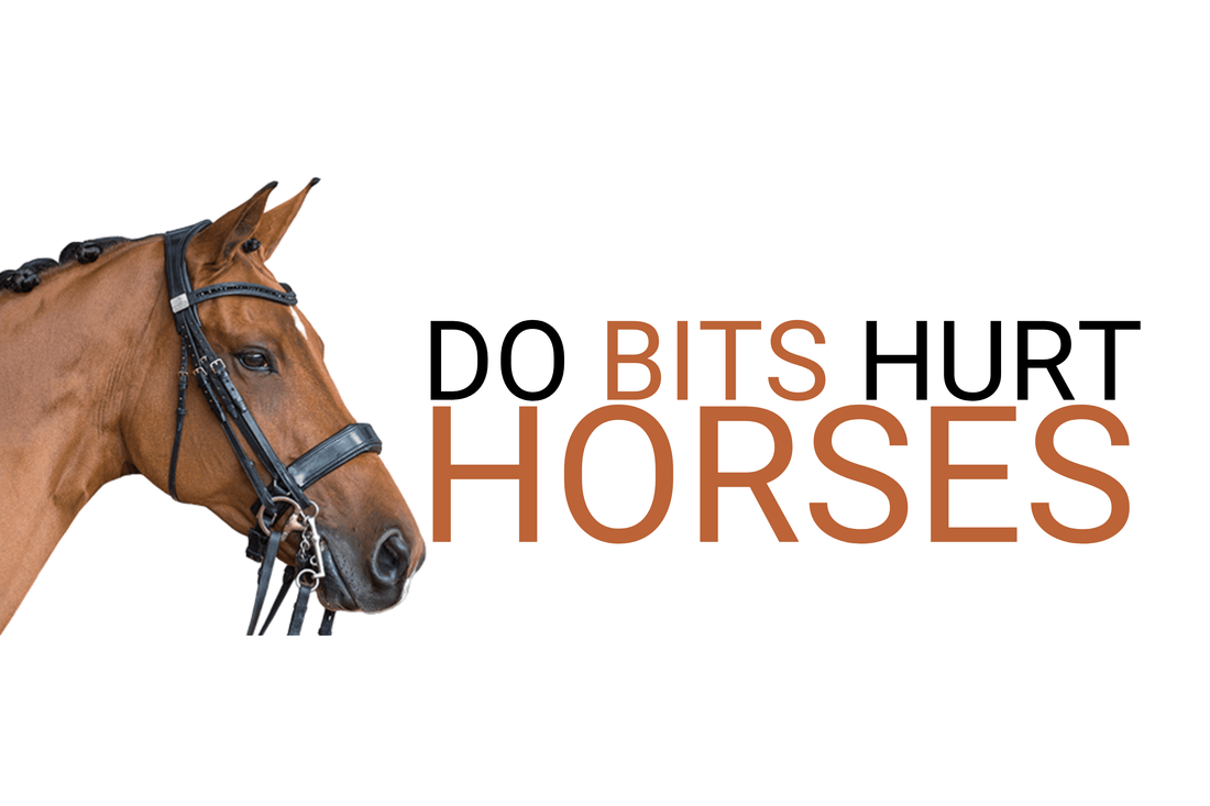 Are horse bits cruel?
