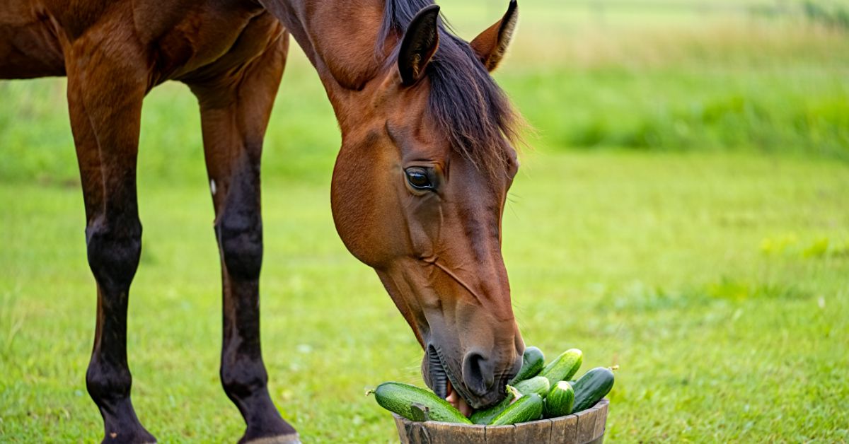 Can Horses Eat Asparagus: Complete Guide for Horse Owners