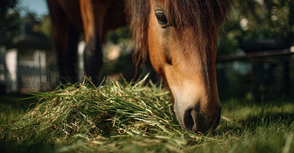 Can Horses Eat Grass Clippings