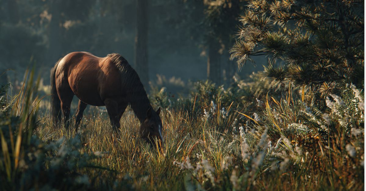 Can Horses Get Lyme Disease