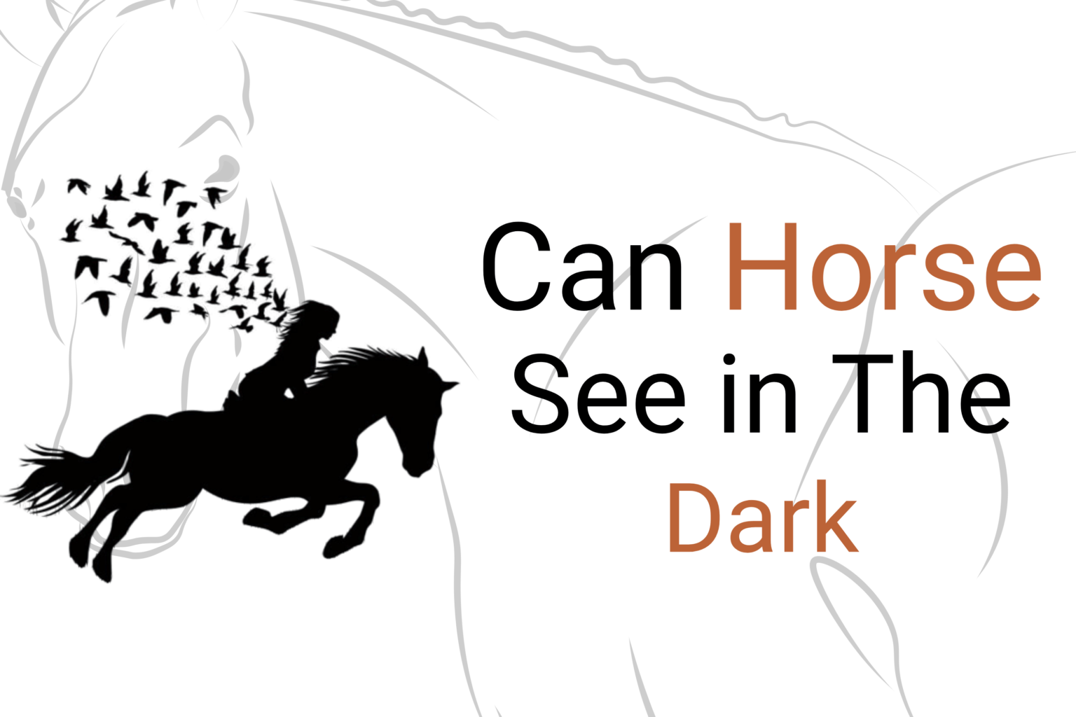 Can Horses See in the Dark? A Comprehensive Examination of Equine Night Vision