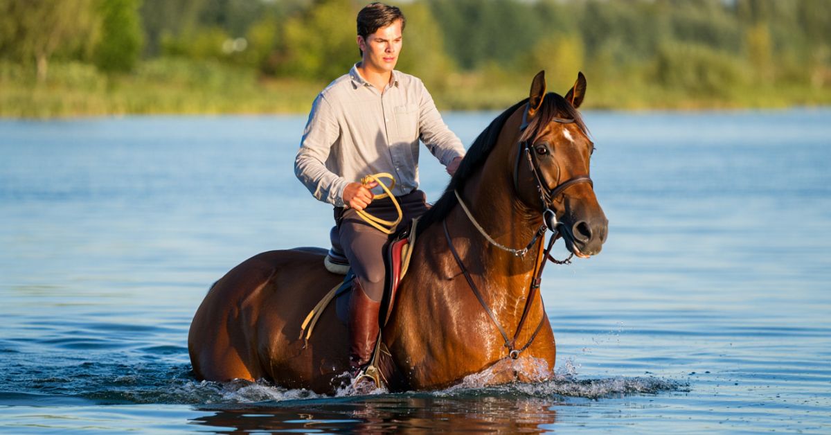 Can Horses Swim With a Rider