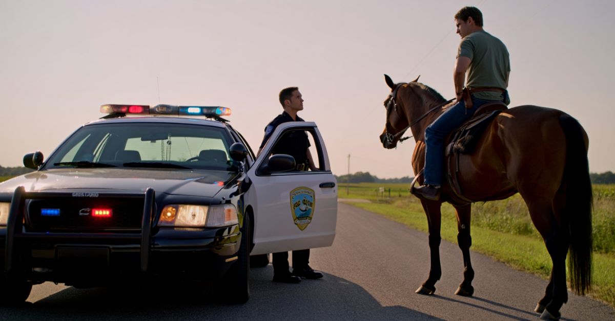 Can I Ride a Horse on the Road