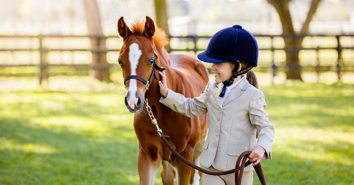 Can You Ride a 2 Year Old Horse