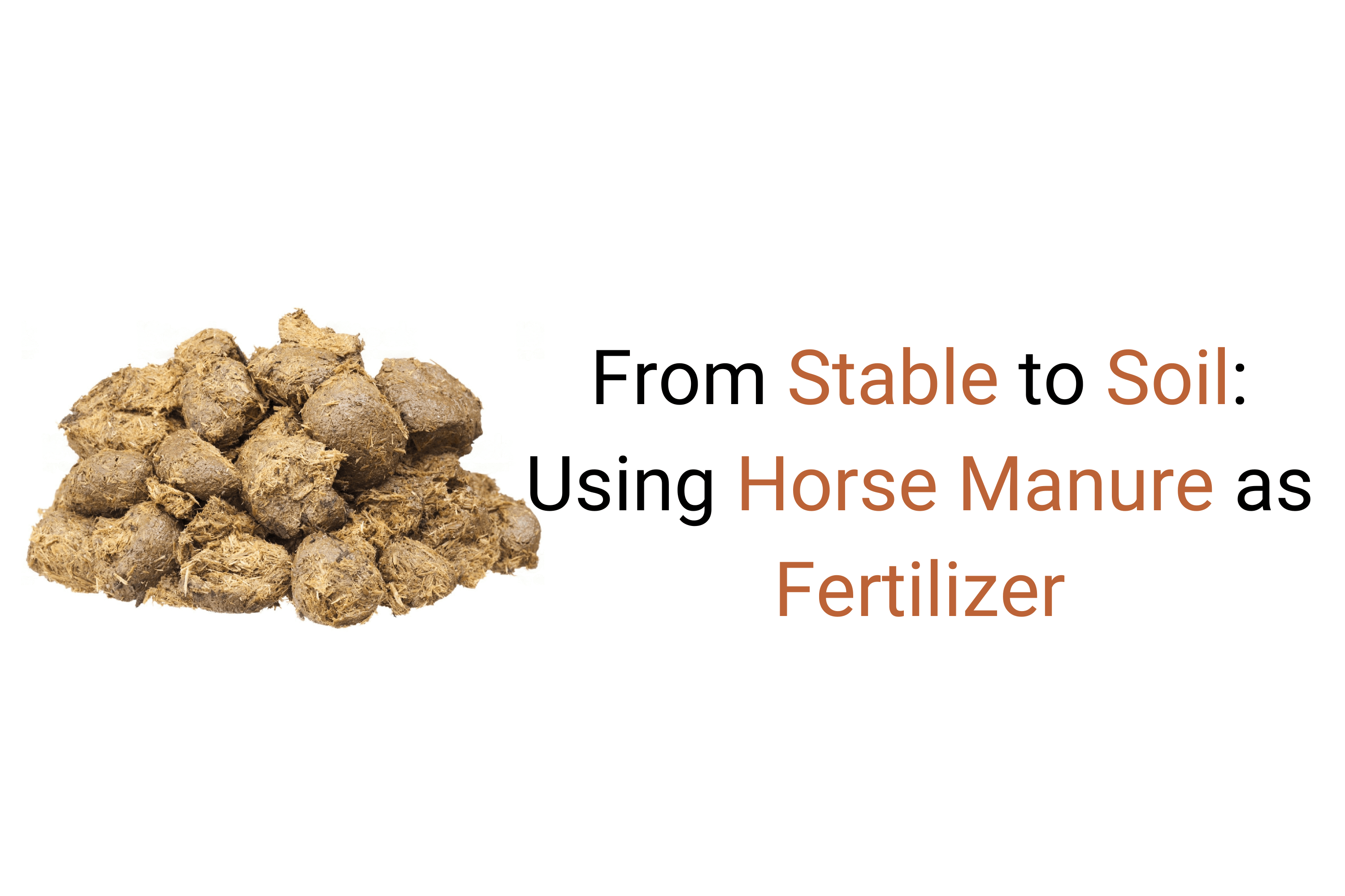 Can horse manure be used as fertilizer
