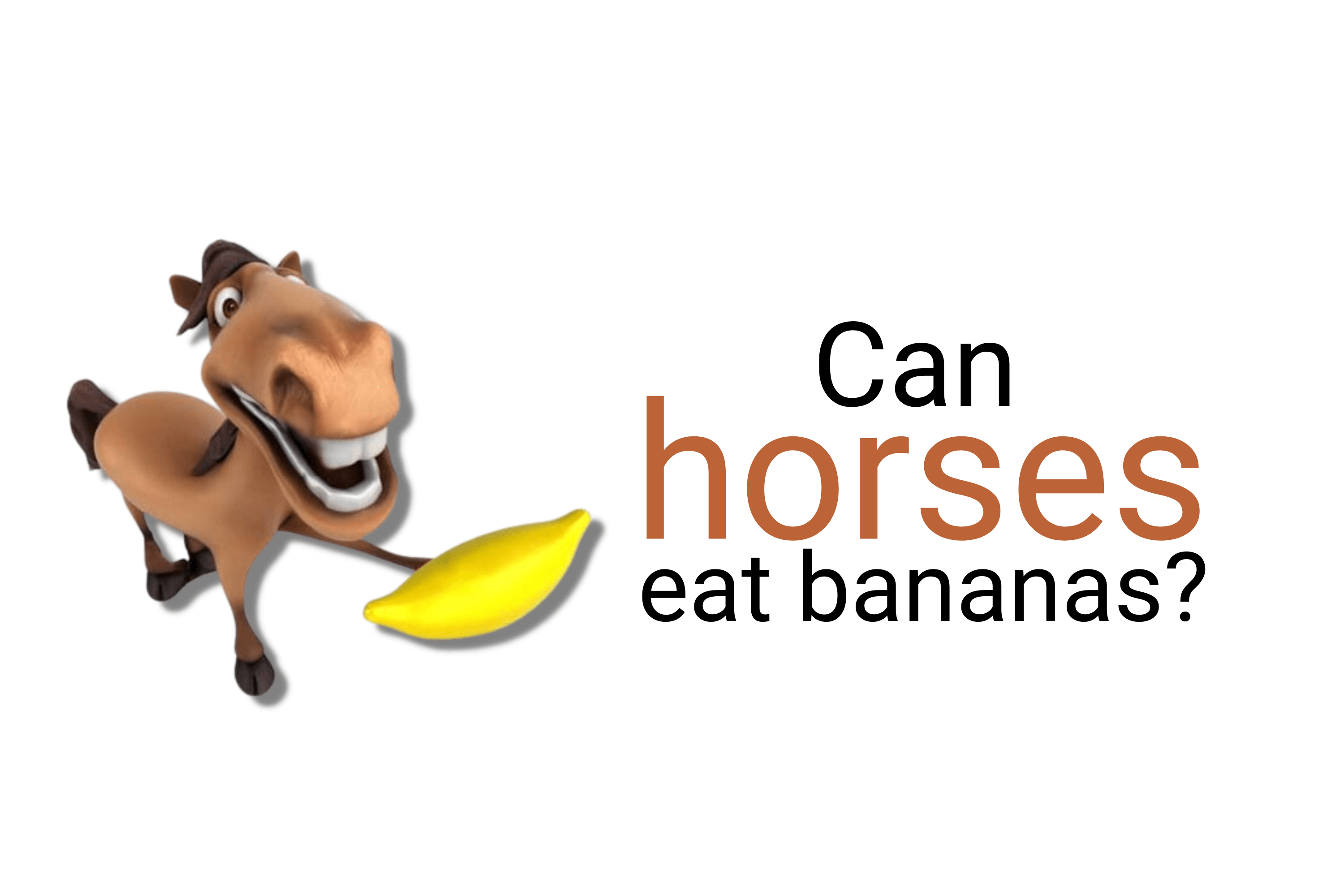Can horses eat bananas?