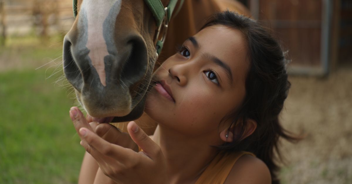 Do Horses Bite Humans