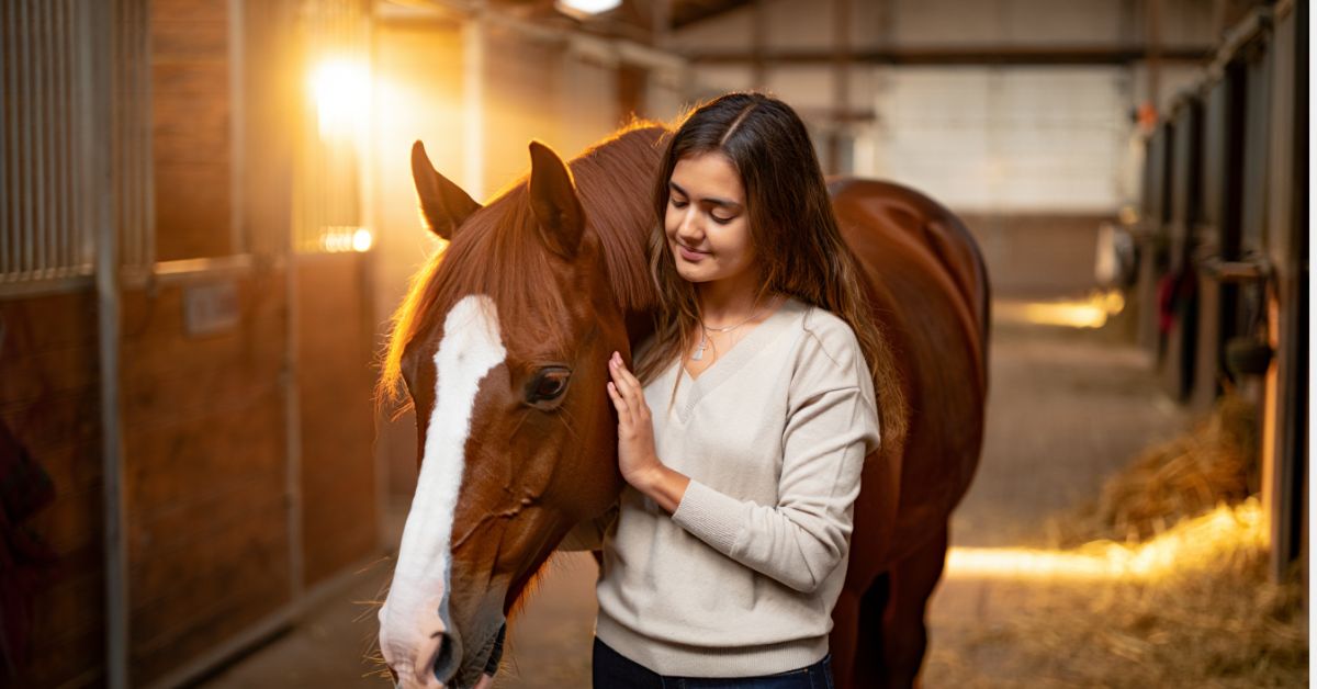 Do Horses Bond With Humans