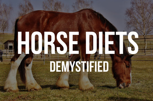 Do Horses Eat Meat