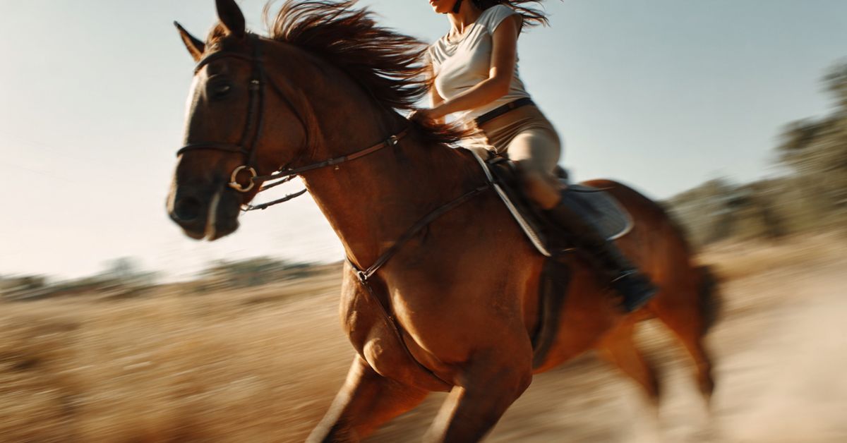 Does Riding a Horse Burn Calories
