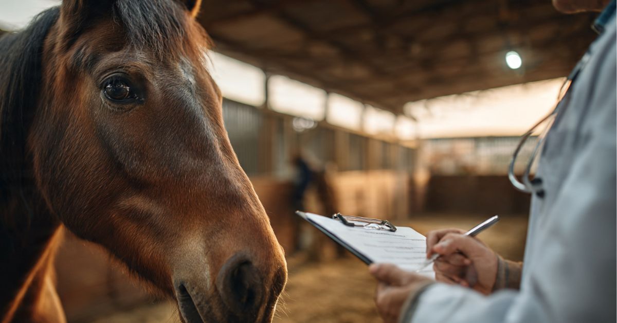 Essential Horse Vaccines