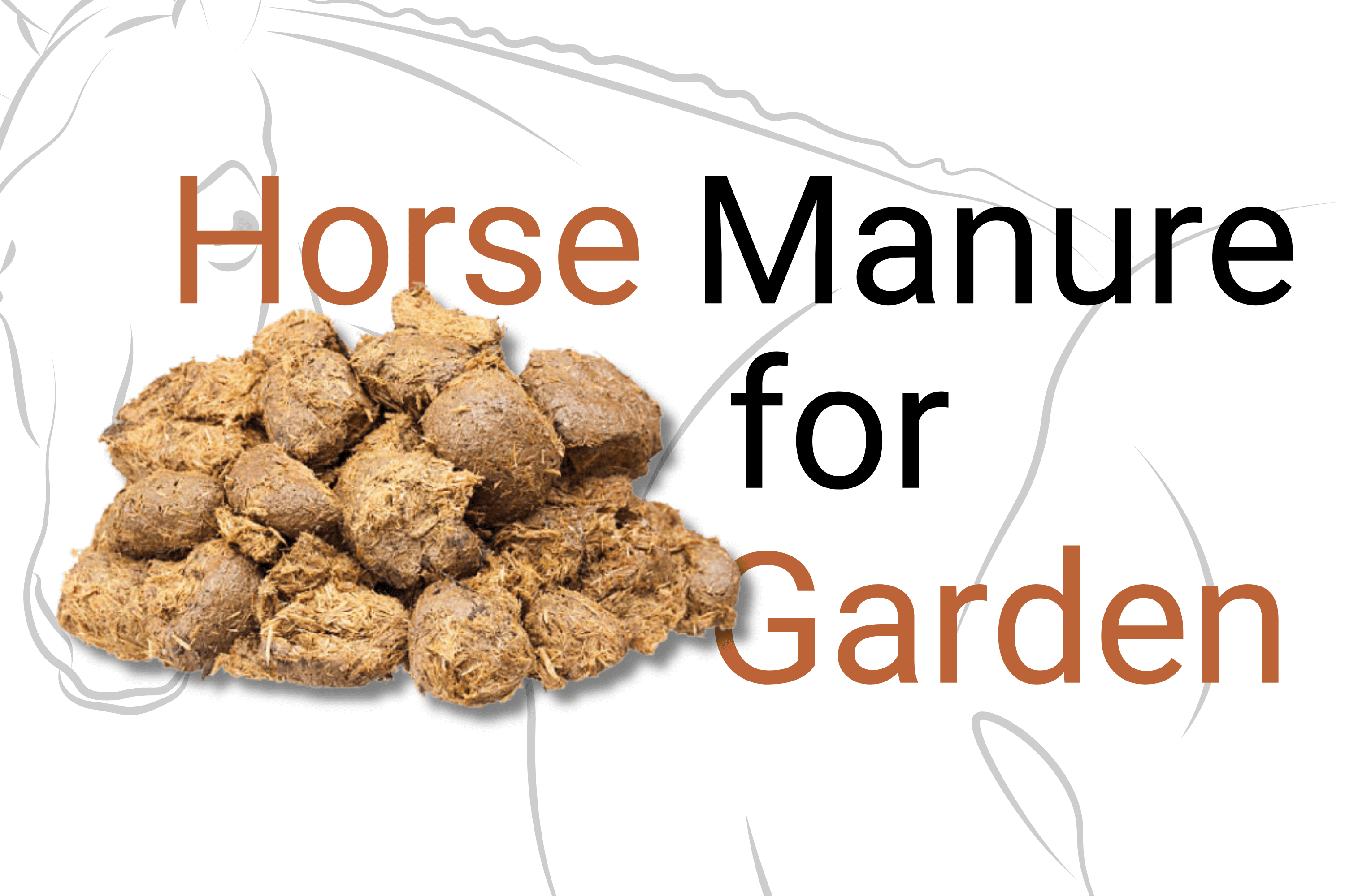 Horse Manure for Garden 