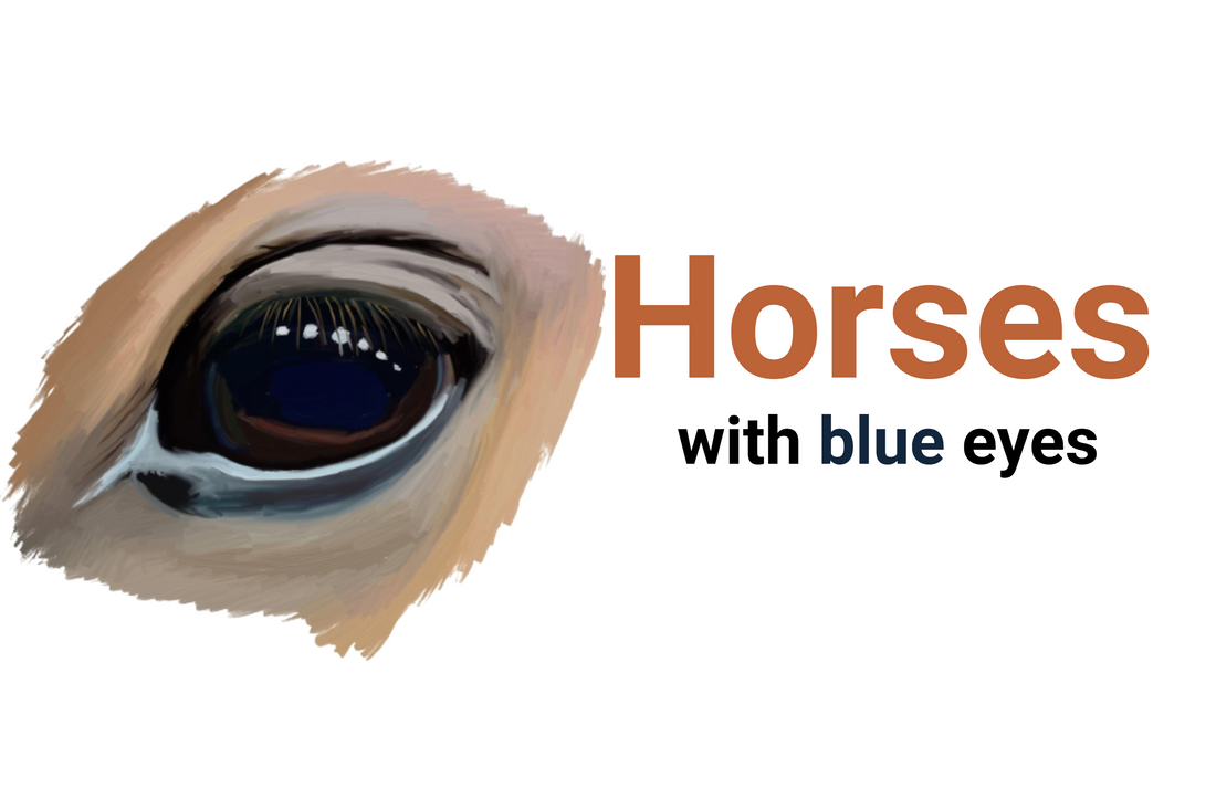 Horses with blue eyes (Complete Guide)