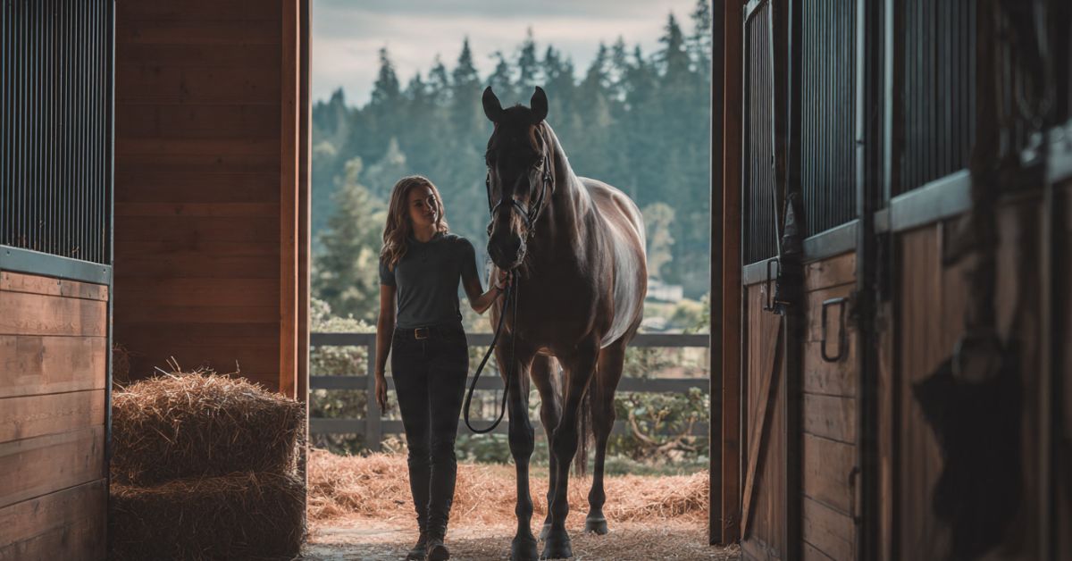 How Does Leasing a Horse Work