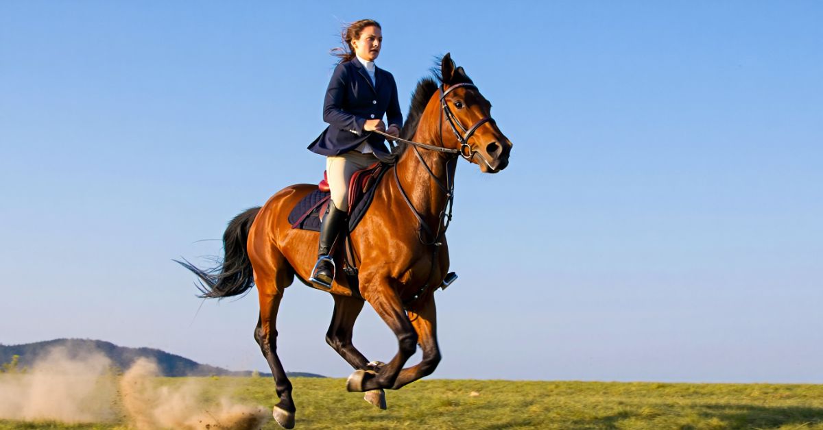 How Fast Can Horses Run With a Rider