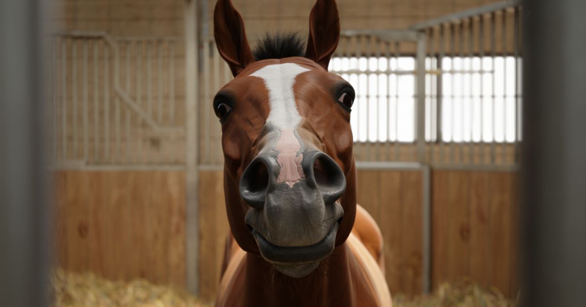 How-Long-Can-a-Horse-Choke-For-Complete-Timeline-Emergency-Guide 