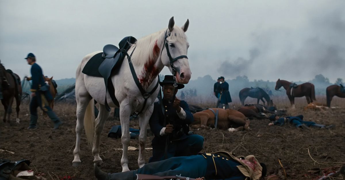 How Many Horses Died in the Civil War