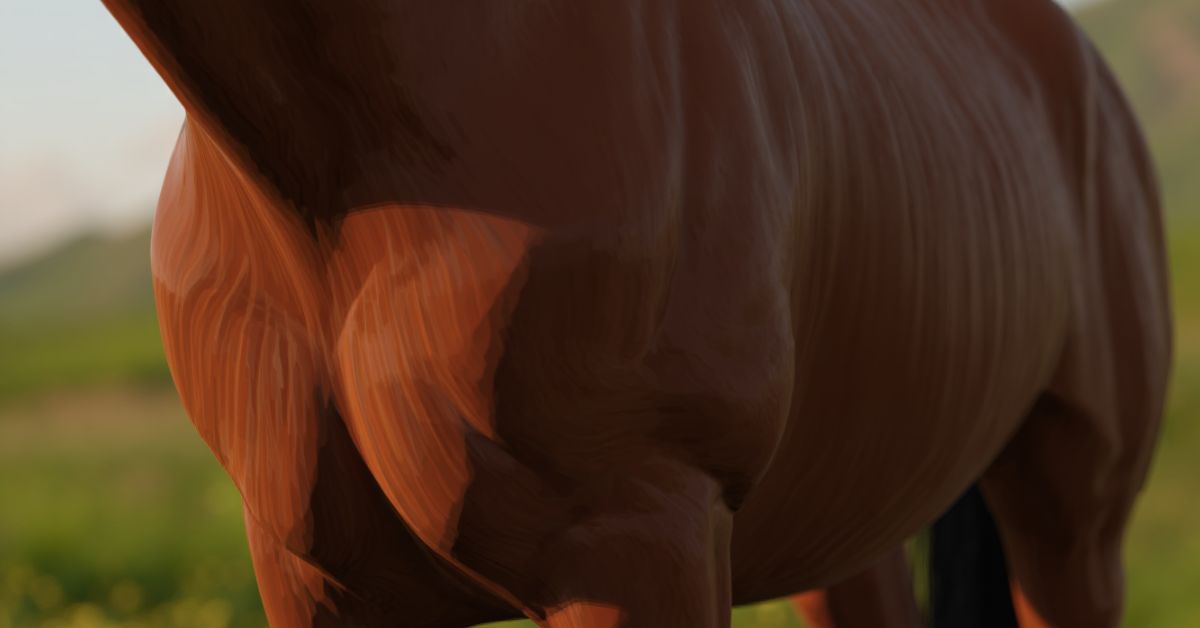 How Many Ribs Does a Horse Have