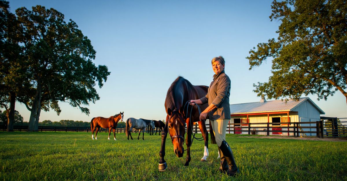 How Much Do Horse Breeders Make