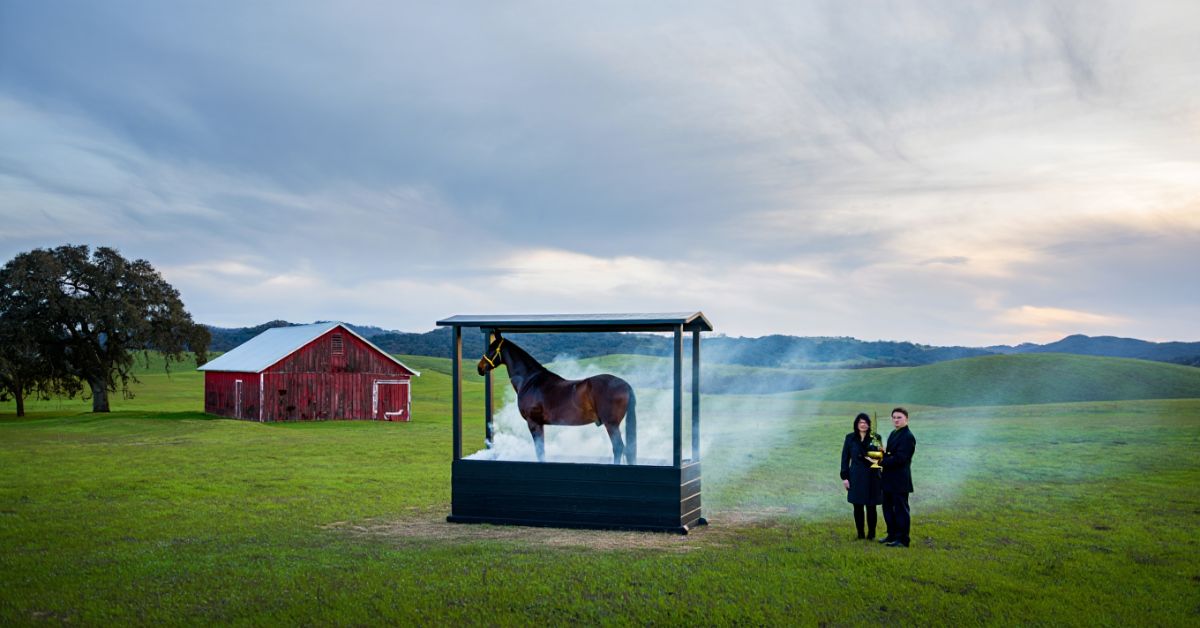 How Much Does It Cost to Cremate a Horse