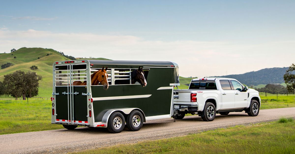How Much Does a 2 Horse Trailer Weight