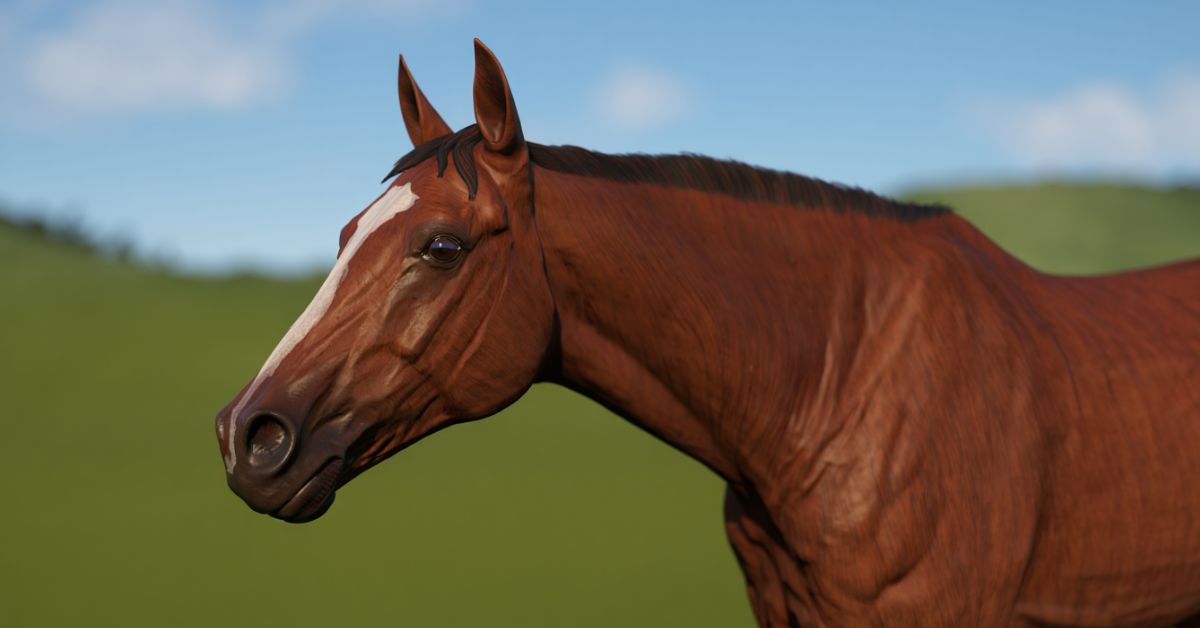 How Much Does a Race Horse Weigh