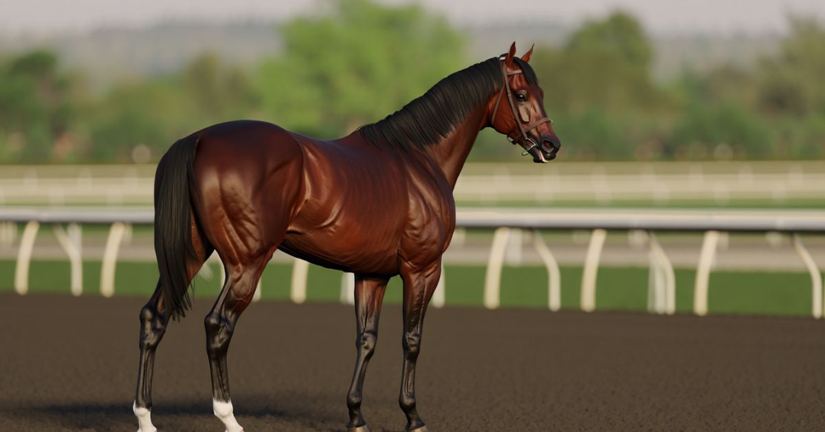 How Much Does an Adult Horse Weigh