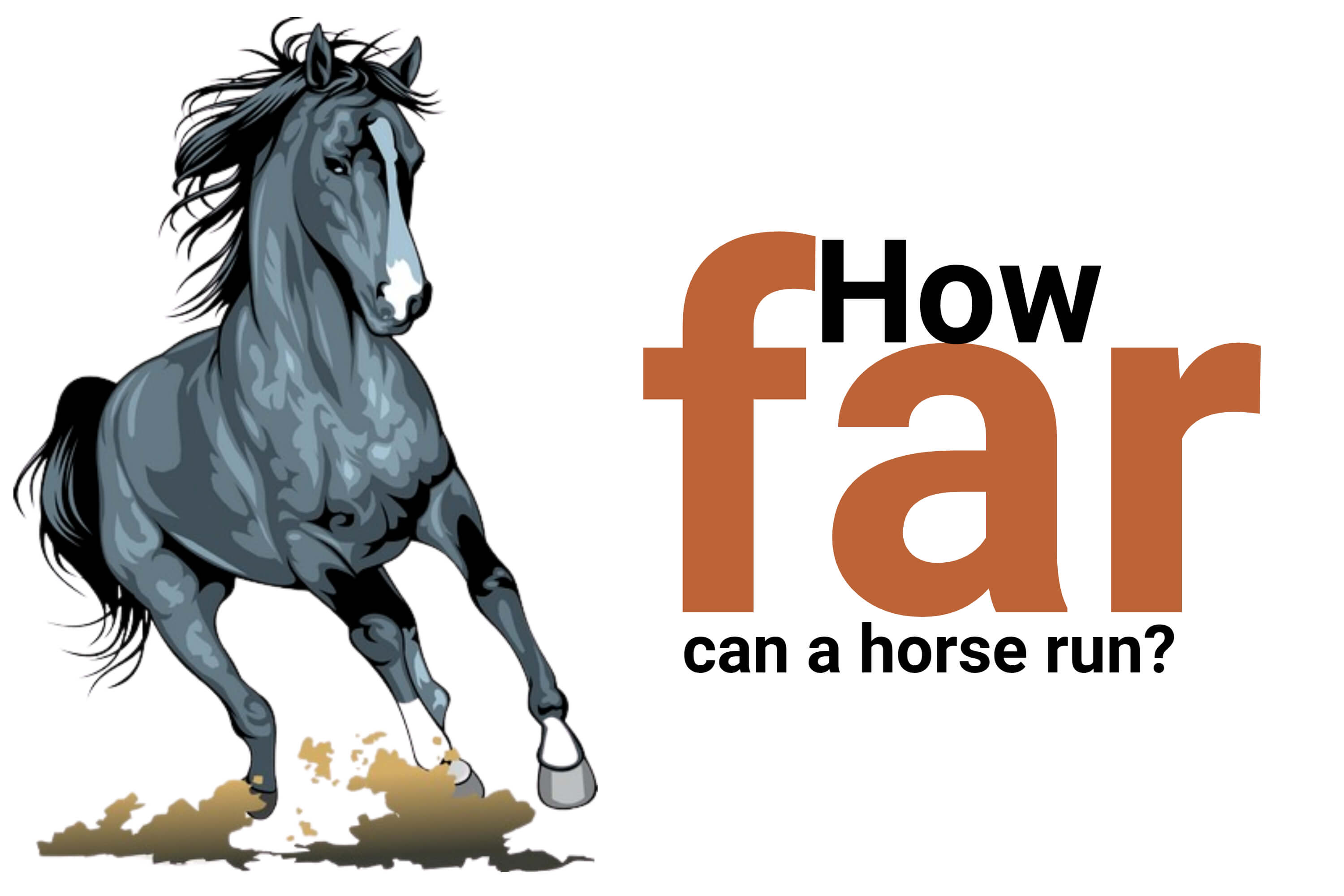 How far can a horse run
